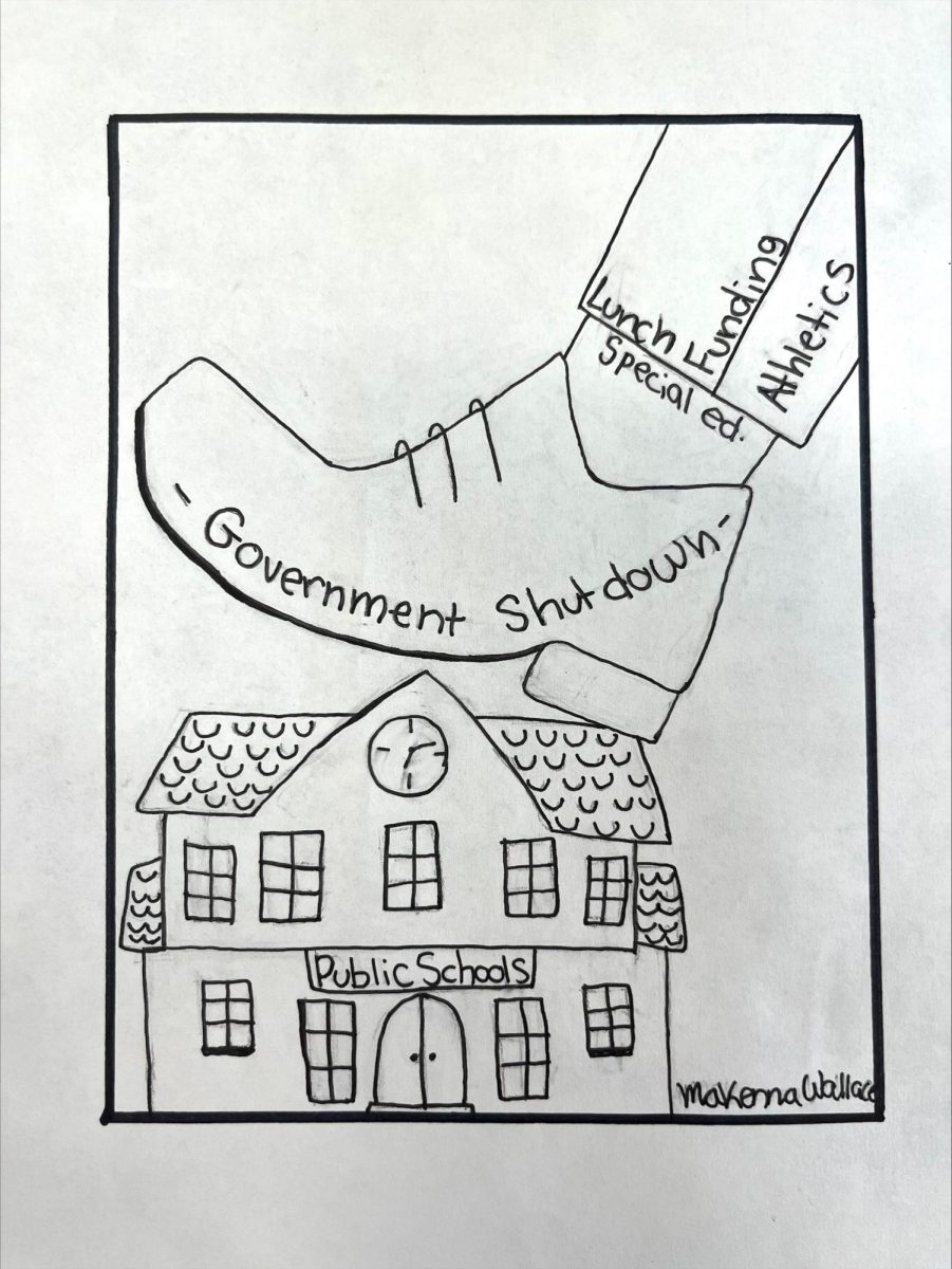 Schools fear shutdown woes